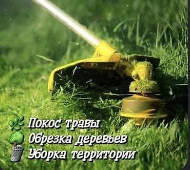 Уборка территории, Стрижка газона