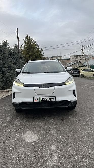 evro r: Weltmeister EX5, 2020 г., 85000 км, Передний — 1