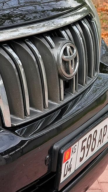 ришетка: Toyota Land Cruiser Prado: 2010 г., 4 л, Автомат, Бензин, Внедорожник — 7