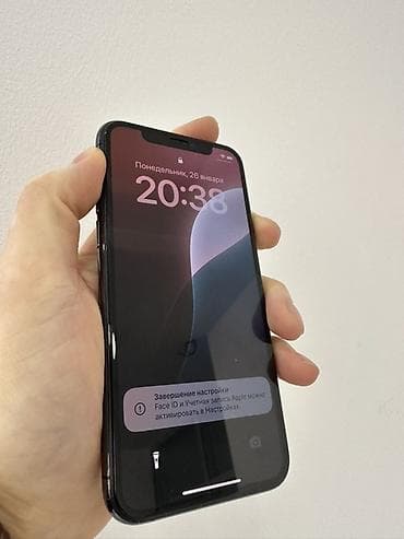 IPhone 11 Pro, Графит