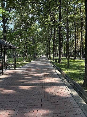 тыныстанова донецкая: 1 комната, 33 м², бульвар Эркиндик Индивидуалка, 2 этаж, Косметический ремонт — 5