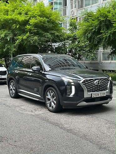 geely mongaro: Hyundai Palisade: 2019 г., 2.2 л, Дизель, Кроссовер — 1