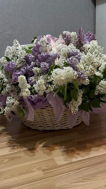фиалки купить: Срочно! Огромная корзина свежей сирени всего за 2500с! 🌸 Невероятный — 4