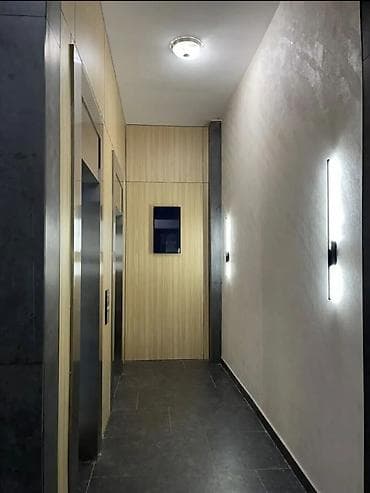 binar: 1 комната, 44 м², Политех Элитка, 13 этаж, Евроремонт — 5