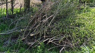 бишкек отун: Отун Терек, Өзү алып кетүү — 5