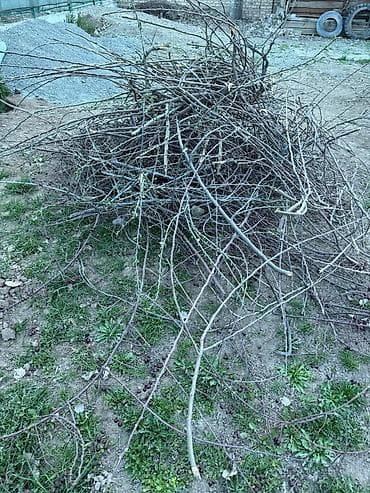 Все для дома и сада: Дрова Самовывоз — 4