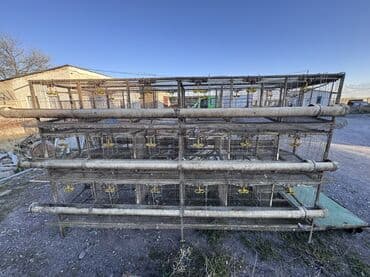 корм для домашних животных: Продаю клетки для несушек многоярусные на 144 штук курей. Размер — 5