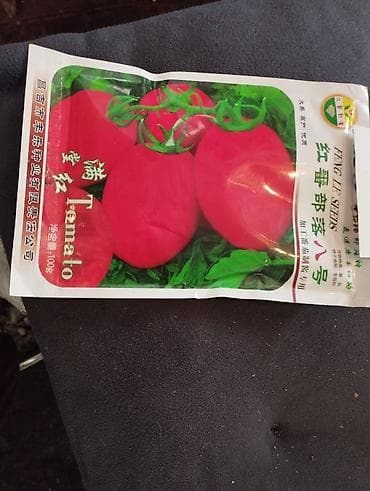 гүл челек: Продается семена помидора китайский Новичок .Крупные и урожайные — 2