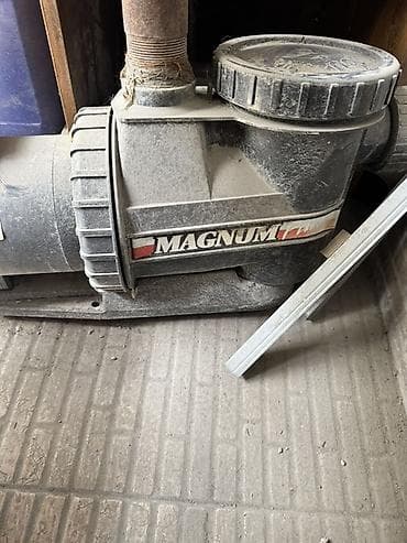 скорый: Насос для бассейна/СПА MAGNUM с электродвигателем MagneTek Century — 1