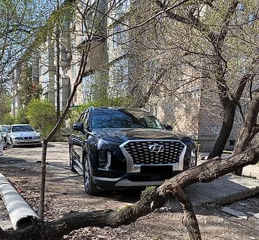 turbo: Hyundai Palisade: 2019 г., 2.2 л, Автомат, Дизель, Кроссовер — 9