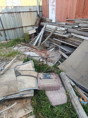 искусственные пальмы: Даром Бекер Отун Дрова — 2