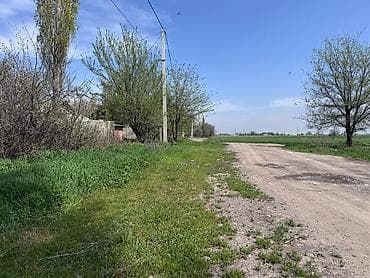 Недвижимость: 16 соток, Для сельского хозяйства — 6