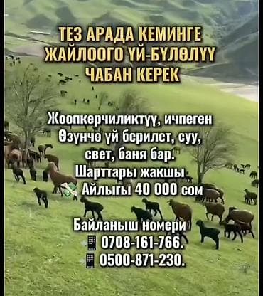 Требуется Пастух, Оплата: Сдельная, Питание at lalafo.kg Требуется Пастух, Оплата: Сдельная, Питание