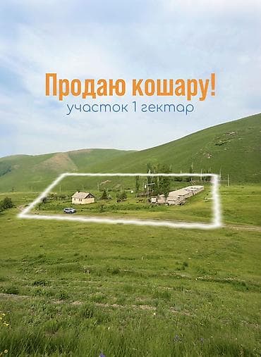 Кошара, 100 соток, Действующий, Электричество