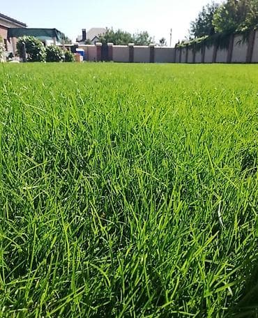 услуги косилки: 🌿 Посев газона . 🌿Сеем газон . 🌿 Озеленение территории. 🌿 Обработка — 1