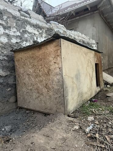 ХДФ: Будка для собаки из плит OSB/фанеры - Просторная будка прямоугольной — 4