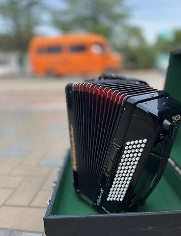 meteor: Аккордеон Weltmeister Meteor N - Клавиатура: фортепианная — 2