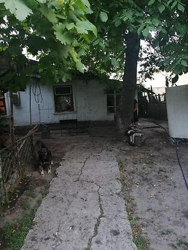 теплый дом: 3 соток — 5