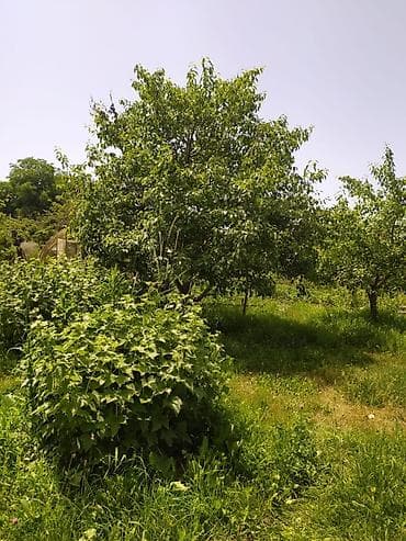 кочкор ата недвижимость: Продаётся дом на ИссыкКуле, село Ананьево из 4-х комнат. Имеется — 8