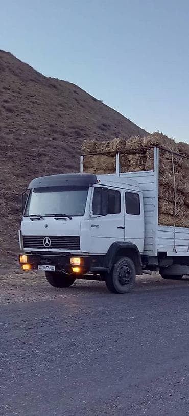 Грузовик, Mercedes-Benz, Дубль