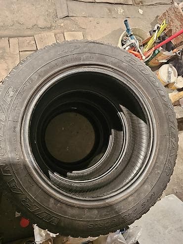 m60 b40: Шины 245 / 60 / R 18, Лето, Б/у, Комплект, Внедорожные (АТ/МТ), GoodYear — 5