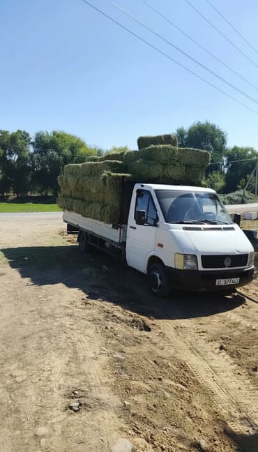 дом на калесох: Легкий грузовик, Volkswagen, Стандарт, 3 т, Б/у — 3