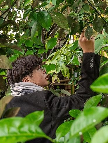 maxima j30: Услуги фотографа-видеографа. Снимаю на Сони a6400 (вдруг это кому то — 6