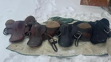 Комплект английских седел для верховой езды в наличии 5 штук - Тип