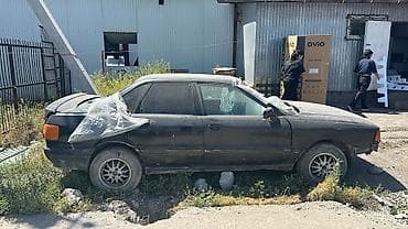 дево колос: Audi 80: 1991 г. — 3