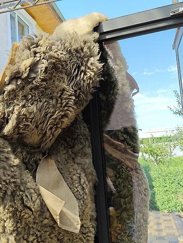 вечернее платье с: Дубленка, Классическая модель, По колено, 5XL — 4