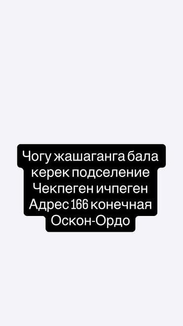госнитца ош: Подселение в комнату для парня. Душ кондиционер есть Требуется сосед — 1