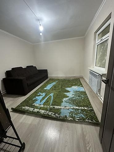 27 м², 1 комната