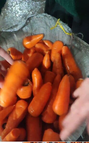 кухонная мебель бишкек цены: Морковь — 3