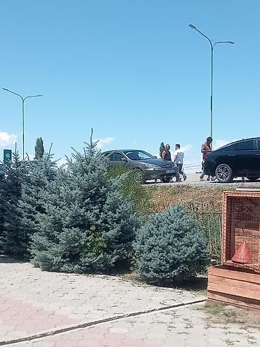 Toyota Camry: 2005 г., 2.4 л, Механика, Бензин, Седан — 6
