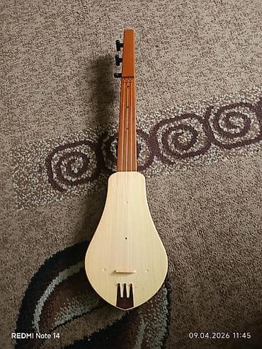 Традиционный струнный музыкальный инструмент — лютня/домбра типа