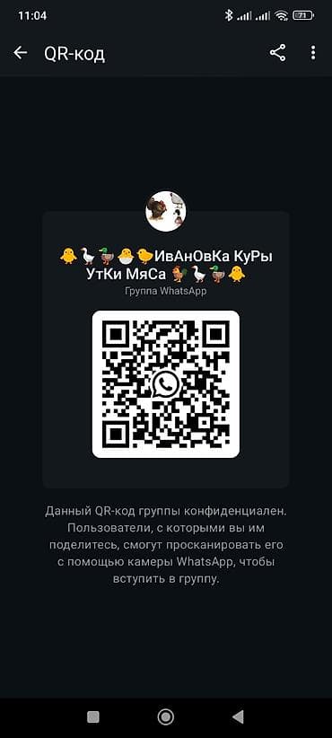 ат ба: Продаю | Куры | Домашняя — 1