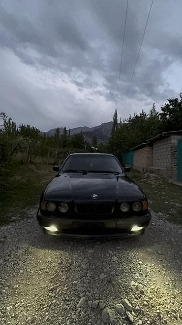 экран е34: BMW 5 series: 1993 г., 2.5 л, Механика, Бензин, Седан — 1