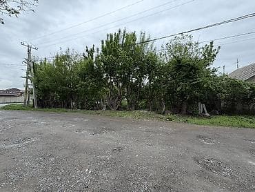 Кыймылсыз мүлк: 540 соток, Курулуш — 5