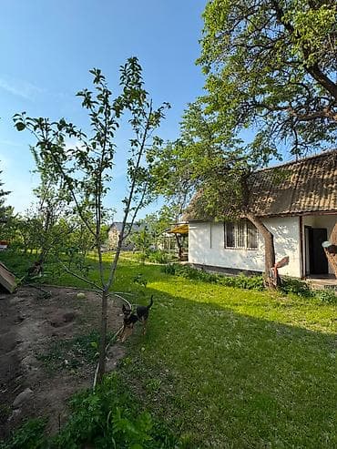 недвижимость в иссык куле: 🌿 ПРОДАЁТСЯ ДАЧА С УЧАСТКОМ В БАЙТИКЕ 🏡 📍 Чуйская область — 2