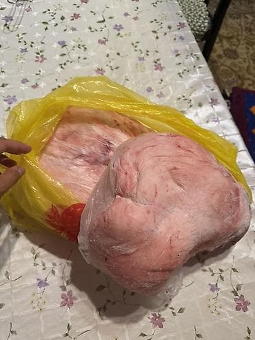 жир: Куйрук май кг 800 — 1