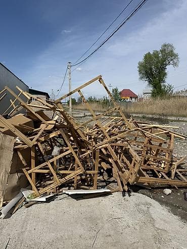 лес: Хвоя — 3