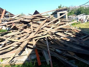 лес пол: Хвоя — 4