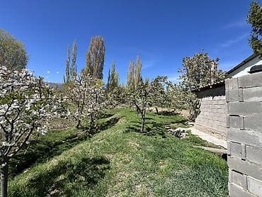 жаны уйлор: Продается Фазенда село Кара-Ой(Долинка) 52соток красная книга, ест — 8