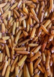 кумыс с медом бишкек: Кукуруза Оптом, Самовывоз — 1