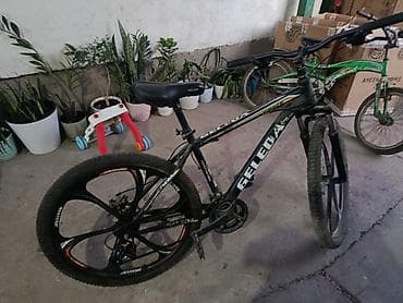 bwb e34: Горный велосипед, Geleda, Рама M (156 - 178 см), Сталь — 3