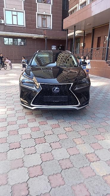 Lexus: Lexus NX: 2019 г., 2.5 л, Вариатор, Гибрид, Кроссовер — 3