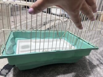 купить клетку для декоративного кролика бу: Клетка для птичек — 4
