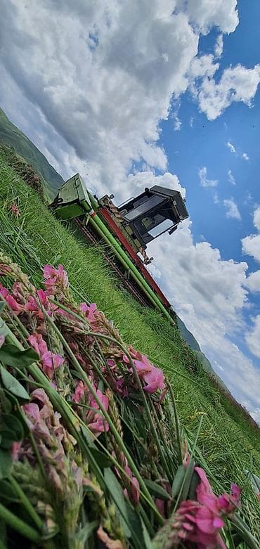 Срочно срочно продаётся!!!! — 3