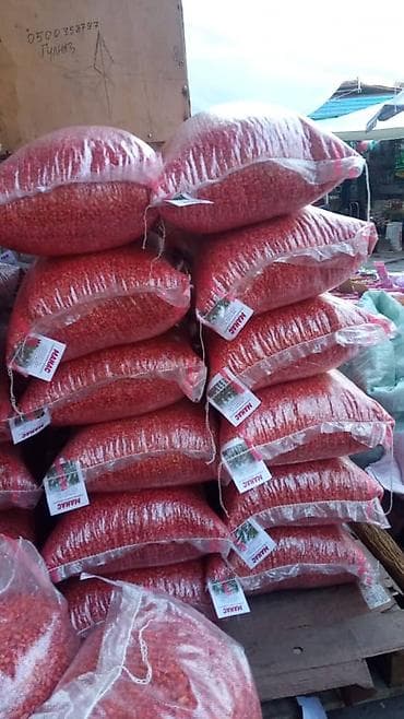 Семена кукурузы (местные сорта) ✔ Высокая урожайность ✔ Адаптированы к