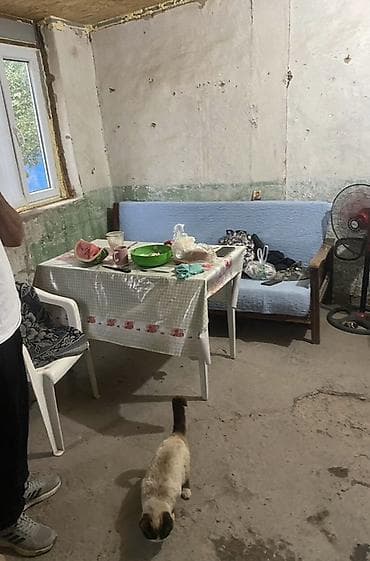 Продажа домов: Продается дом в селе Чаловка 11 соток Есть вода электричество — 7